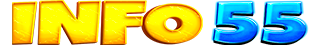 INFO 55